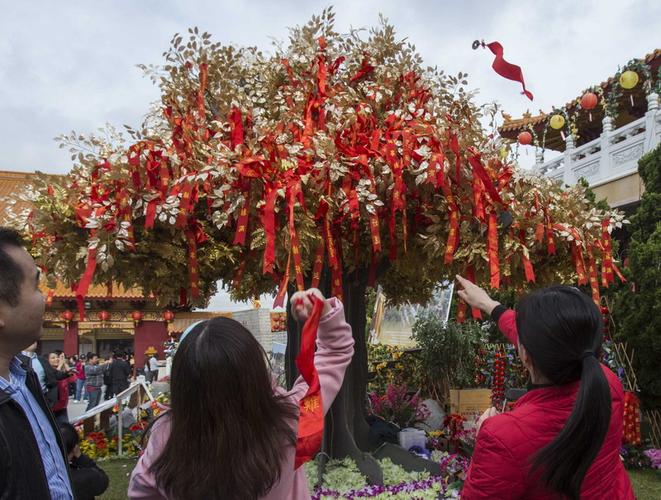 1月31日,在美国加利福尼亚州洛杉矶,当地华人向许愿树抛出印有吉祥