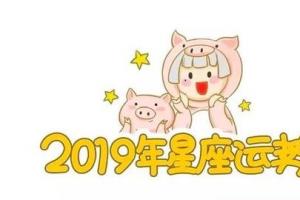 12星座2024年运势全解读!