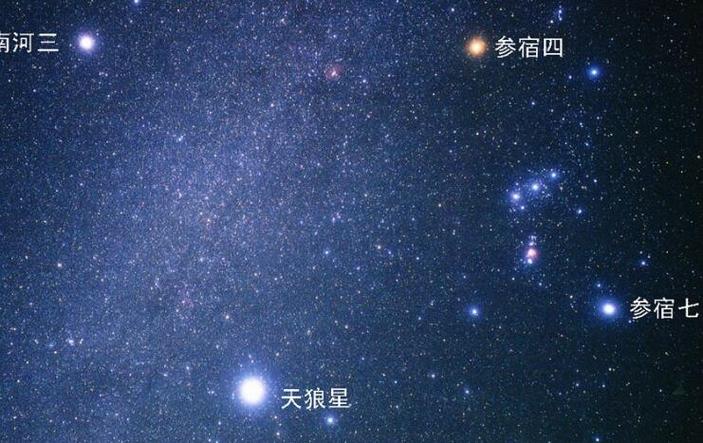 天狼星属于哪个星座你造吗天狼星属于哪个星座