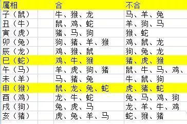 生肖相冲可以结婚吗夫妻生肖相冲如何化解