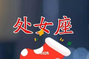 处女座今年的桃花运(处女座今年桃花运势)