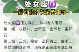 处女座老公的爱人方式 有一个处女座老公是什么样子的