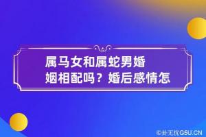 男属马和女属蛇的配吗 属马男人配什么属相女