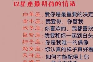 如何让双子座喜欢你(如何双子座让更加喜欢你)