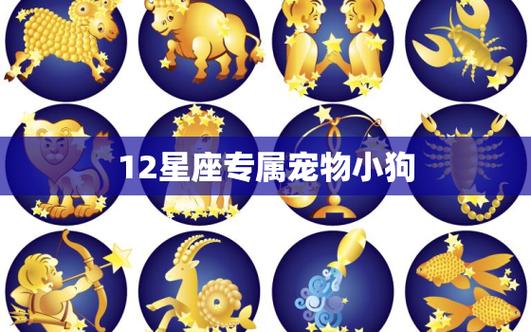 12星座专属宠物小狗,十二星座代表的狗狗