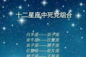 狮子座和什么星座在一起最合适