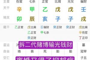 命理学——八字案例 :一名走在人生岔路口的大学生