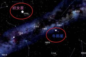 牵牛星属于什么星座 牛郎星属于什么星座