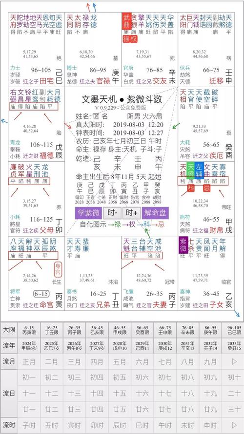 紫微斗数入门必看1分钟掌握人生走向看穿爱情婚姻和财运