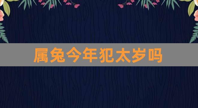 属兔今年犯太岁吗(1987属兔2023年运势每月)