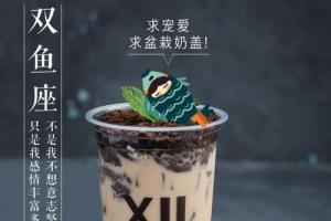 十二星座奶茶甜品屋(江汉一路店)盆栽奶盖图片