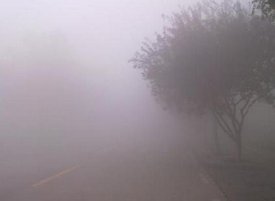 安徽大雾可见度不足100米 10条高速限制或封闭 - 天气网