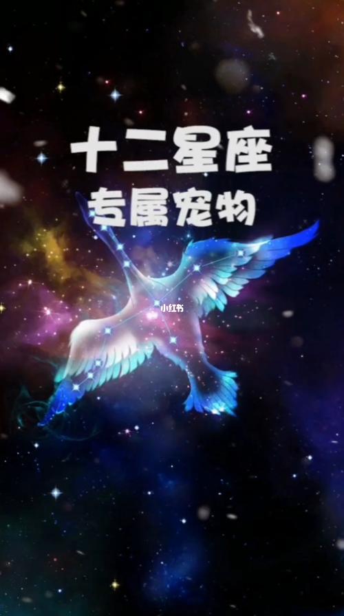 十二星座专属宠物揭秘十二星座