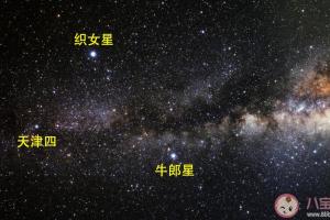 织女星位于哪个星座织女星在哪个星座中万年历(牛郎织女属于什么星座)