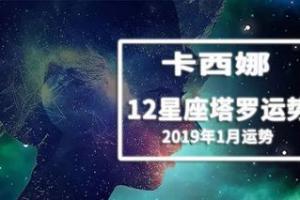 卡西娜:12星座2024年1月塔罗运势占卜