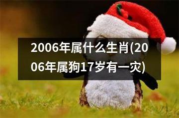 2006年属什么生肖(2006年属狗17岁有一灾)