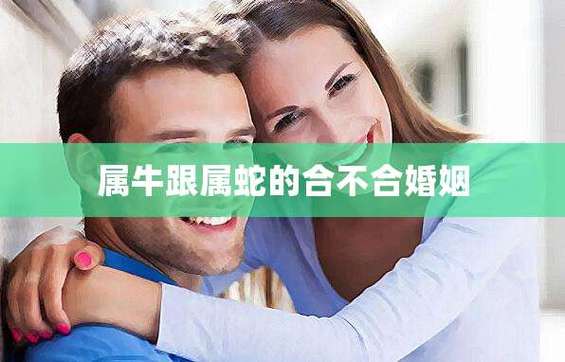 属牛跟属蛇的合不合婚姻