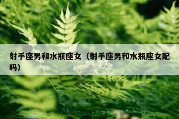 射手座男和水瓶座女(射手座男和水瓶座女配吗)-半几番