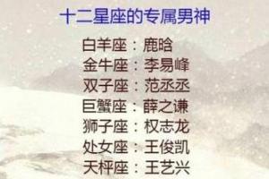 十二星座代表的男神(十二星座的男生是什么)